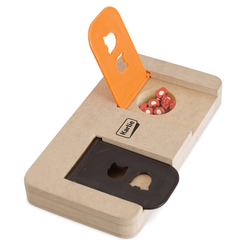 Karlie Brain Train Riddle