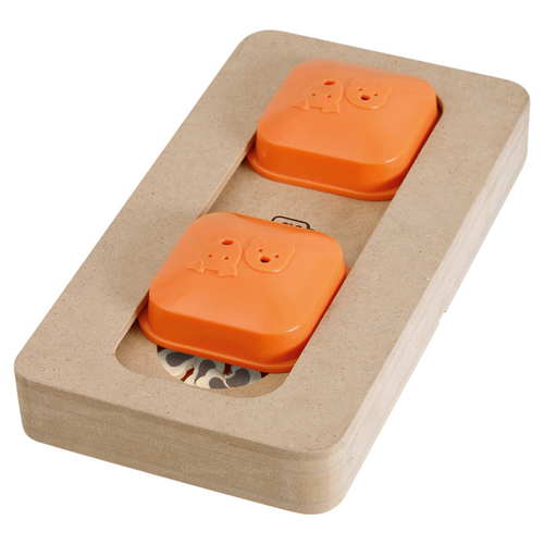 Karlie Brain Train Turing