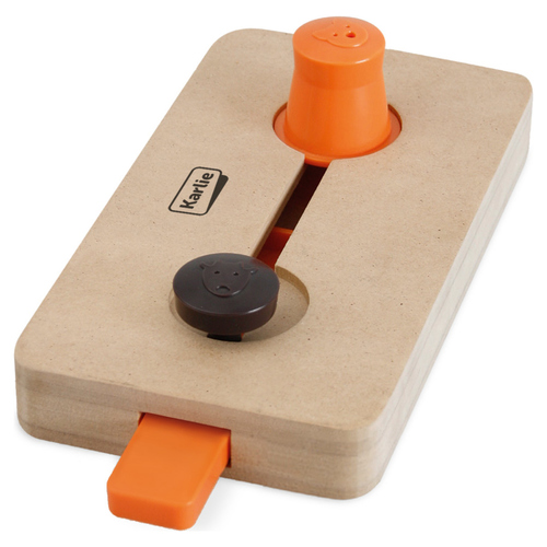 Karlie Brain Train Wiles