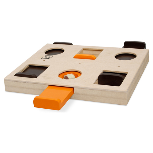 Karlie Doggy Brain Train Diana