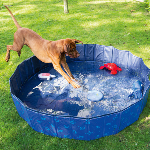 weitere Abbildung Karlie Doggy Pool Design blau