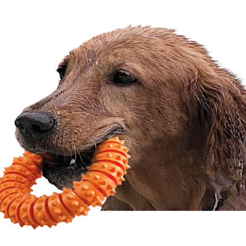 weitere Abbildung Karlie Hundespielzeug Boomer Aqua Ring