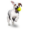 Karlie Hundespielzeug Tennisball 12er Set Abbildung 5