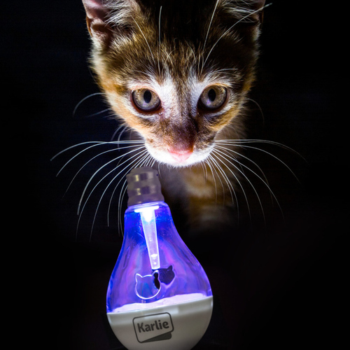 weitere Abbildung Karlie Katzen Snack-Glhbirne mit LED