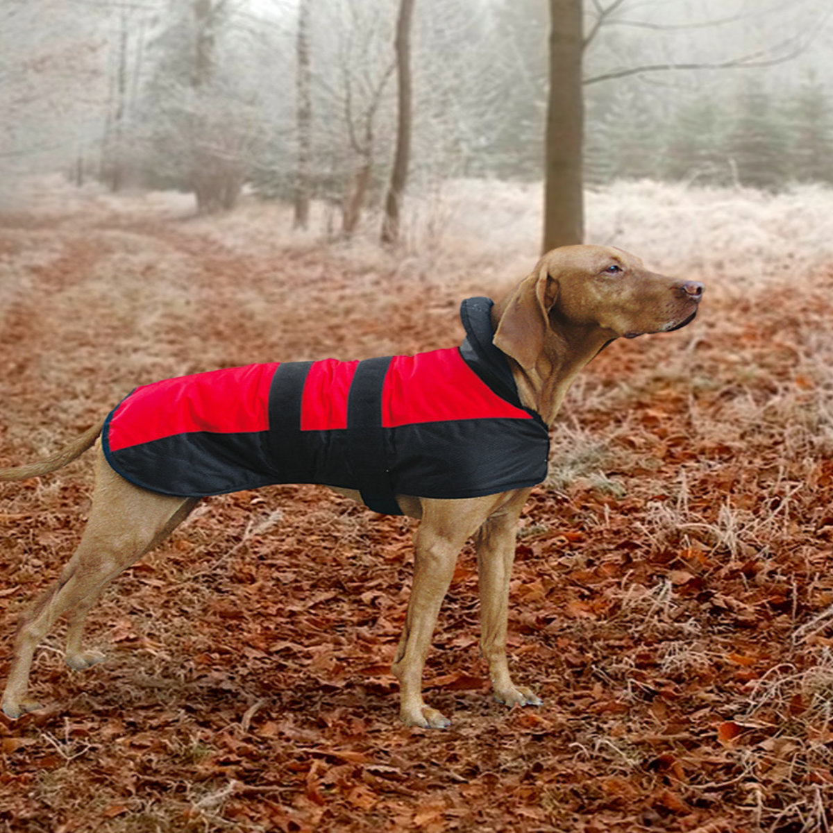 Karlie Hundemantel Outdoor 2in1 – Wasserdicht, Mit Reflektierenden Streifen, Größe L (76 Cm)