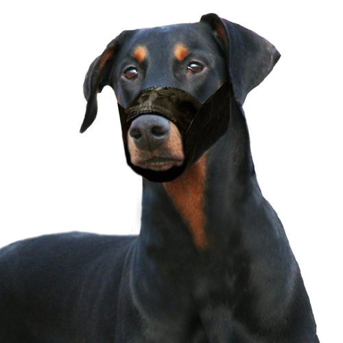 KARLIE Maulkorb Für Hunde – Größe 4, 24,0 Cm, Nylon, Beige