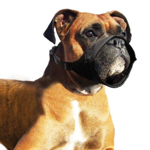 KARLIE Maulkorb Für Hunde – Größe 4, 24,0 Cm, Nylon, Beige