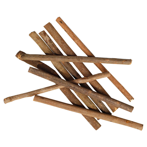 Karlie Nagehölzer Kiwibaum 40 g