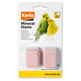Abbildung Karlie Pickstein