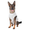 Karlie Safety Body für Hunde grau Abbildung 3