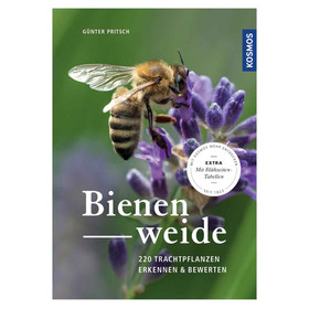 Abbildung Kosmos Bienenweide von Gnther Pritsch