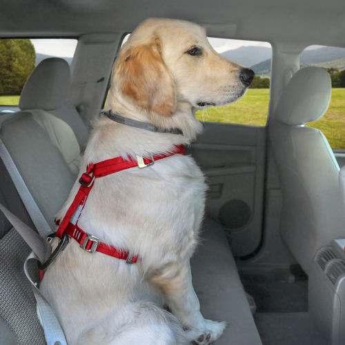 weitere Abbildung Kurgo Autogeschirr Tru-Fit-Smart Harness inkl. Gurtanschluss rot