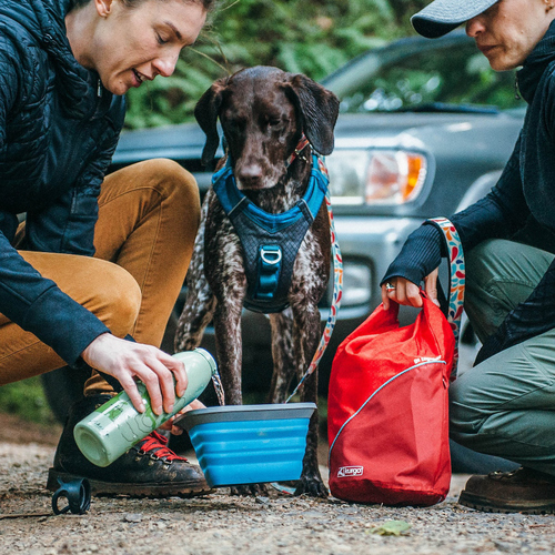 weitere Abbildung Kurgo Futtertasche Kibble Carrier rot