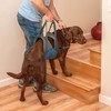 Kurgo Hebehilfe / Up & About Dog Lifter blue/charcoal Abbildung 3