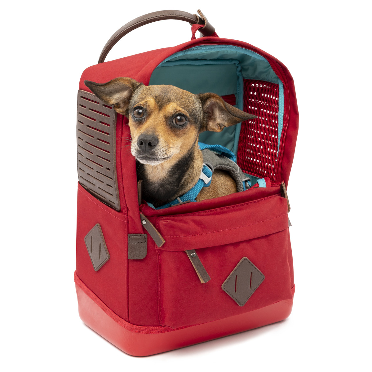 Kurgo Hunderucksack Nomad rot | Transport für kleine Hunde