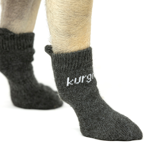 weitere Abbildung Kurgo Hundesocken Blaze Cross Socks 4er Pack