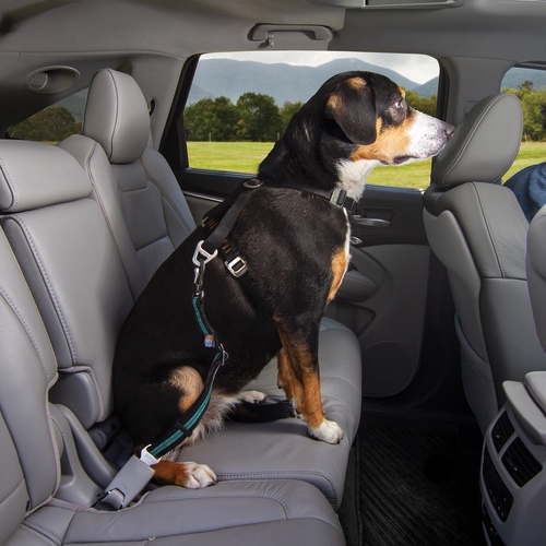 weitere Abbildung Kurgo Verbindungsstck Direct to Seatbelt Swivel Tether blau