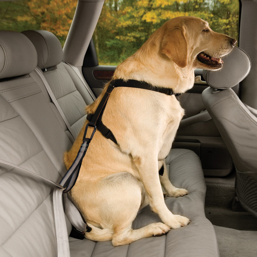 weitere Abbildung Kurgo Verbindungsstck Seatbelt Teather mit Karabiner schwarz