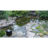 Laguna Teich Filter mit Springbrunnen Abbildung 4