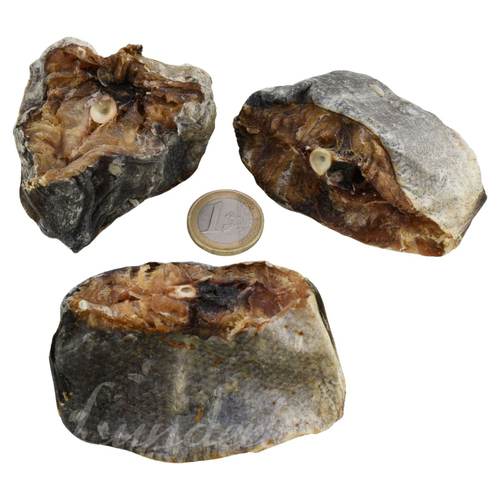 Lunderland Hundesnack Dorsch gesägt 200 g