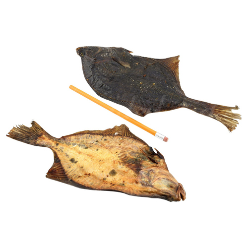 Lunderland Hundesnack Flunder 250 g