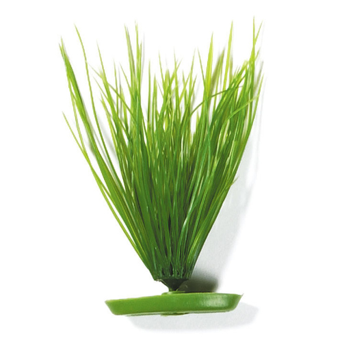 Pianta Acquatica Hygrophila Marina Aquascaper – Decorazione Naturale Per Acquario, 30,5 Cm, Resistente E Facile Da Posizionare