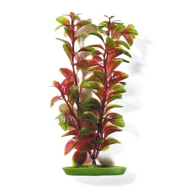 Abbildung Marina Aquariumpflanze Aquascaper Red Ludwigia