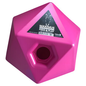 Abbildung Maximus Feed & Play Snackwrfel rosa