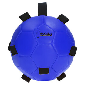 Abbildung Maximus Fun Play Ball mit Schlaufe blau