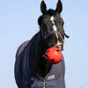 Maximus Fun Play Ball mit Schlaufe orange Abbildung 3