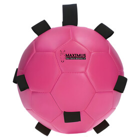 Abbildung Maximus Fun Play Ball mit Schlaufe rosa