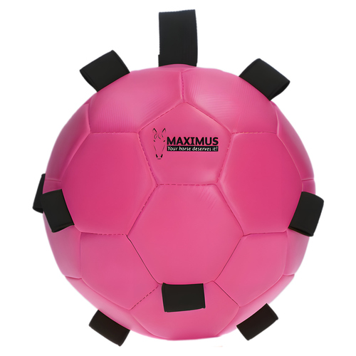 Maximus Fun Play Ball mit Schlaufe rosa