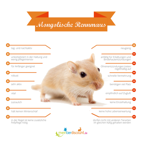 Ratgeber Blog