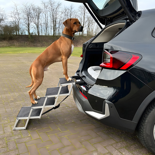weitere Abbildung Nobby Aluminium Falt-Treppe, 4-stufig