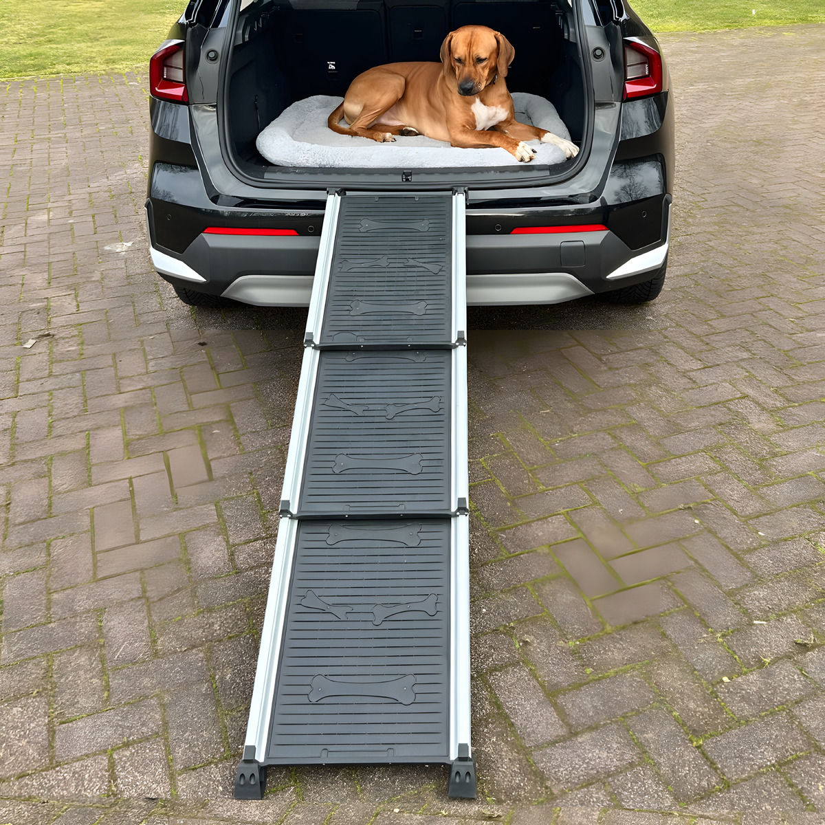 Rampe Fr Den Hund