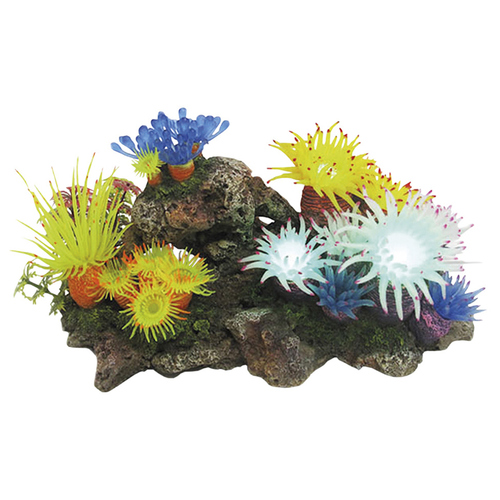 weitere Abbildung Nobby Aquariendekoration Aplysina mit Pflanzen mit LED