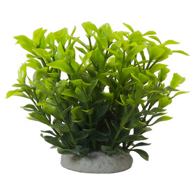 Abbildung Nobby Aquariendekoration Aqua Ornaments Ludwigia grn