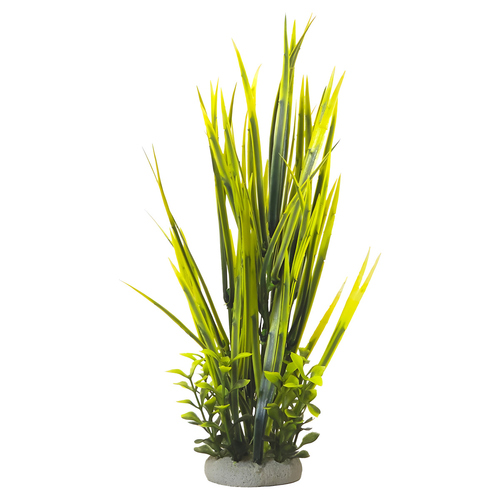 weitere Abbildung Nobby Aquariendekoration Aqua Ornaments ValliIsneria