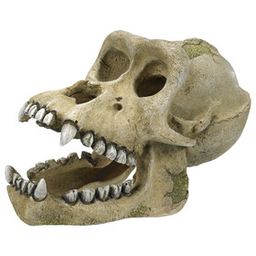 Abbildung Nobby Aquariendekoration Gorilla Schdel