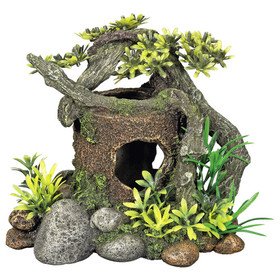 Abbildung Nobby Aquariendekoration Holz mit Versteck