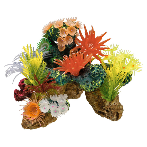 Nobby Aquariendekoration Korallen mit Pflanzen