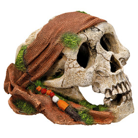 Abbildung Nobby Aquariendekoration Piraten Totenkopf