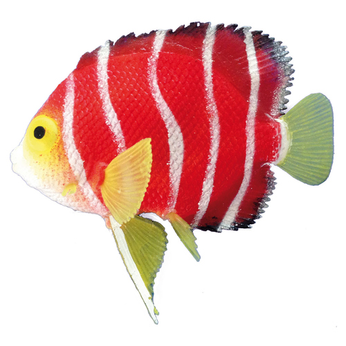 Nobby Aquariendekoration Skalar