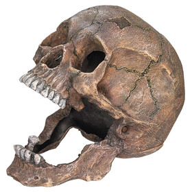 Abbildung Nobby Aquariendekoration Totenkopf