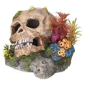 Abbildung Nobby Aquariendekoration Totenkopf mit Pflanzen 13,5 x 13,5 x 10,5 cm