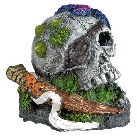 Abbildung Nobby Aquariendekoration Totenkopf mit Seestern