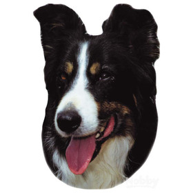 Abbildung Nobby Aufkleber Border Collie
