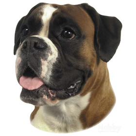 Abbildung Nobby Aufkleber Boxer