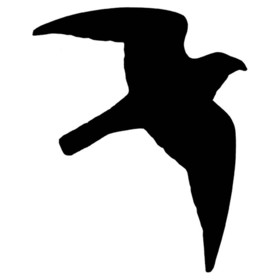 Abbildung Nobby Aufkleber Greifvogel