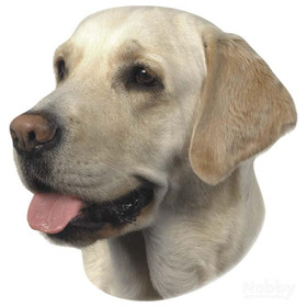 Abbildung Nobby Aufkleber Labrador hell